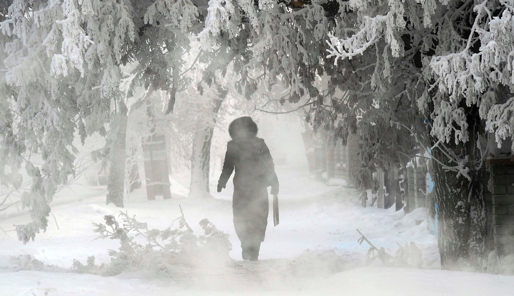 холода 2016, аномально холодная зима, зима в россии