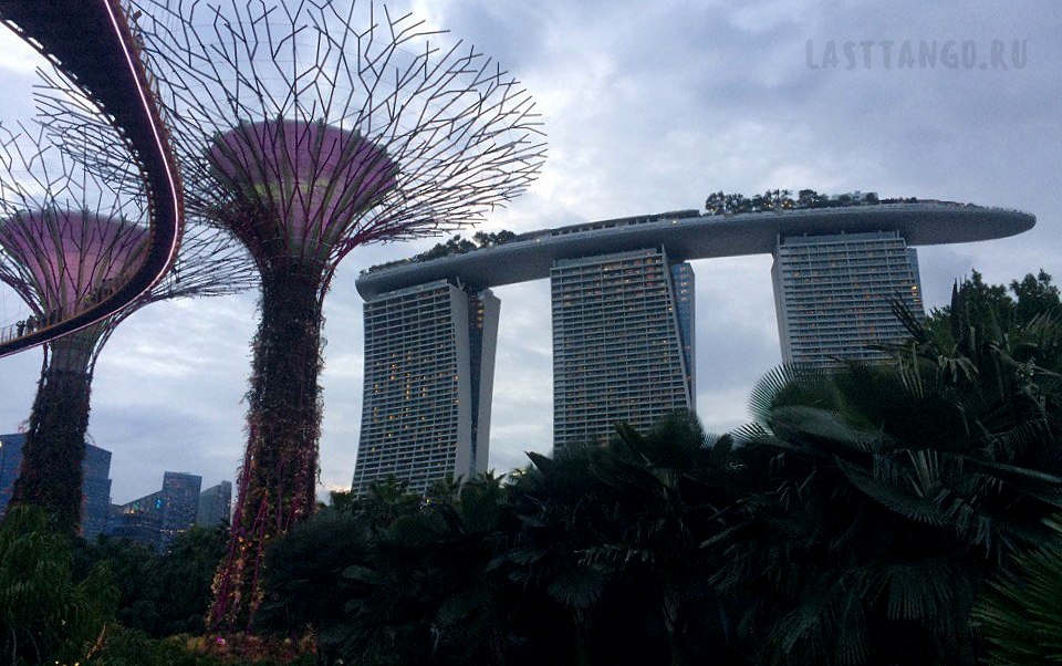 Supertree Marina Bay Sands Сингапур, Сингапур достопримечательности, Сингапур что посмотреть, достопримечательности Сингапура , Сингапур Марина Бэй Сэндс