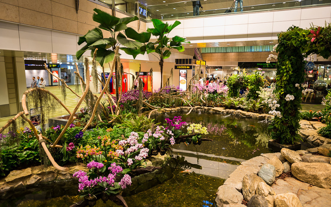 Сад орхидей Сингапур аэропорт Чанги фото, Сад орхидей в Сингапуре адрес, Сад орхидей в Сингапуре стоимость