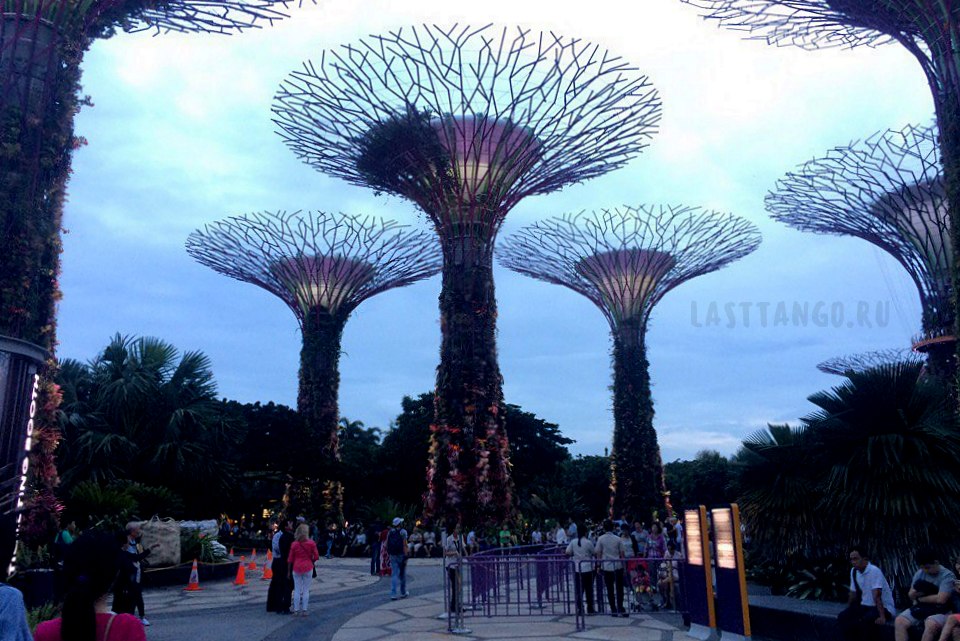 Сады у залива в Сингапуре - современное чудо света