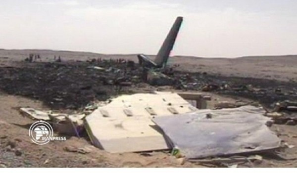 В Иране упал украинский самолет. Видео очевидцев.